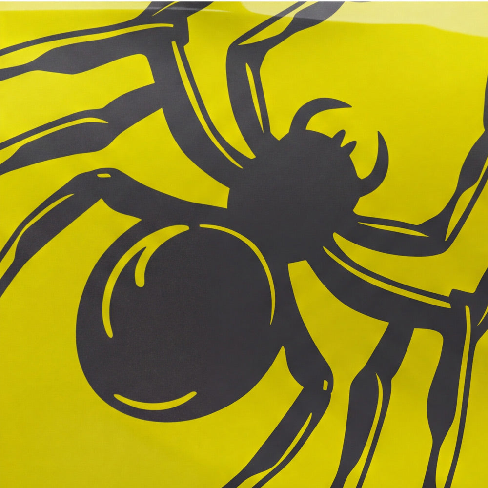 Düstere Spinne