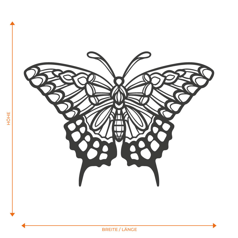 Filigraner Schmetterling