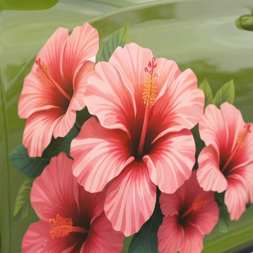 Hibiskus Blüten